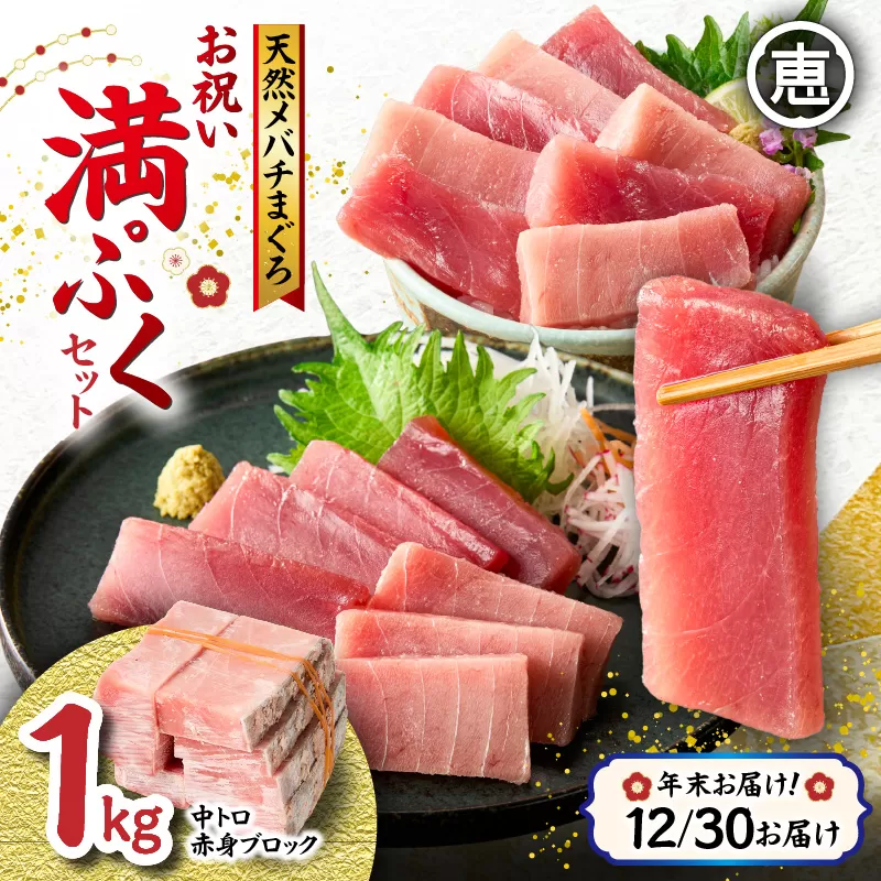 【年末・正月用/12月30日お届け】天然 目鉢まぐろ お祝い満ぷくセット 中トロ赤身1kgブロック 迎春 三崎まぐろ 三崎恵水産