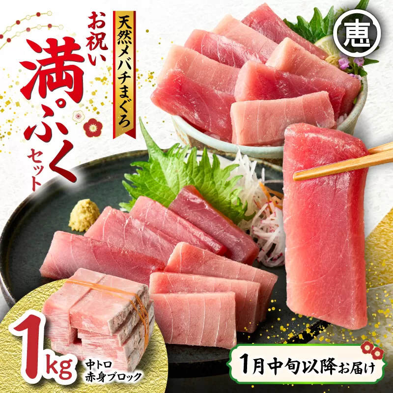【1月中旬以降お届け】天然 目鉢まぐろ お祝い満ぷくセット 中トロ赤身1kgブロック 迎春 三崎まぐろ 三崎恵水産