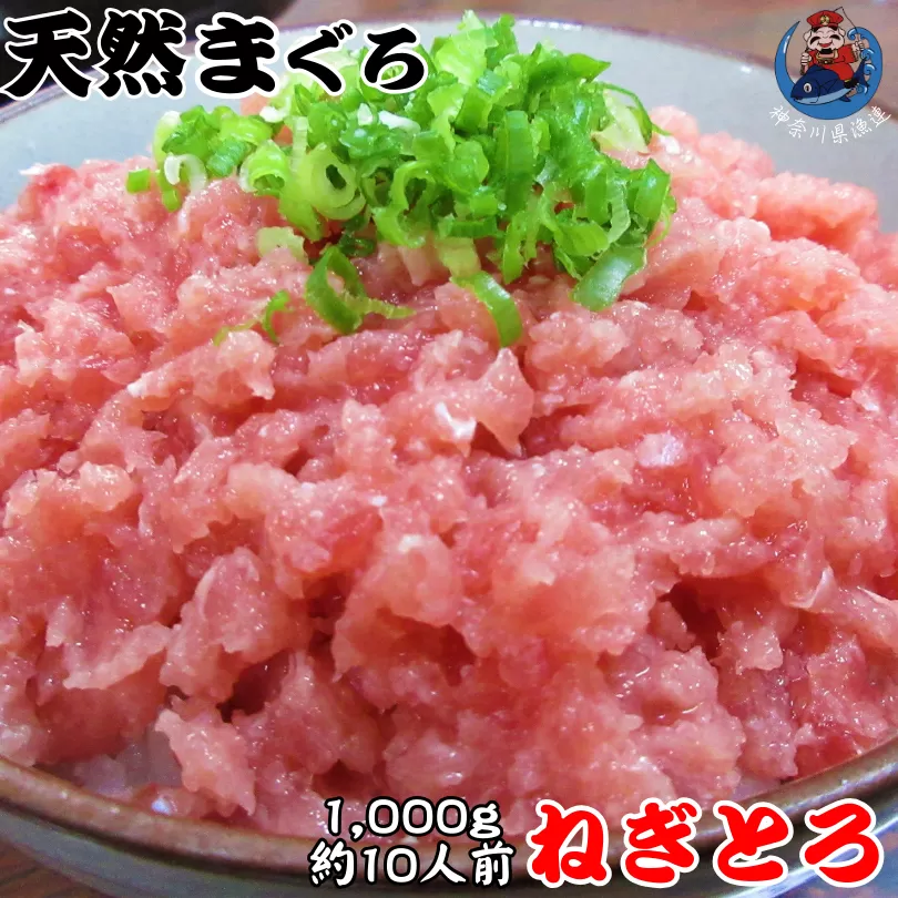 神奈川県漁連 天然マグロ ネギトロ 1kg（500g×2）お徳用