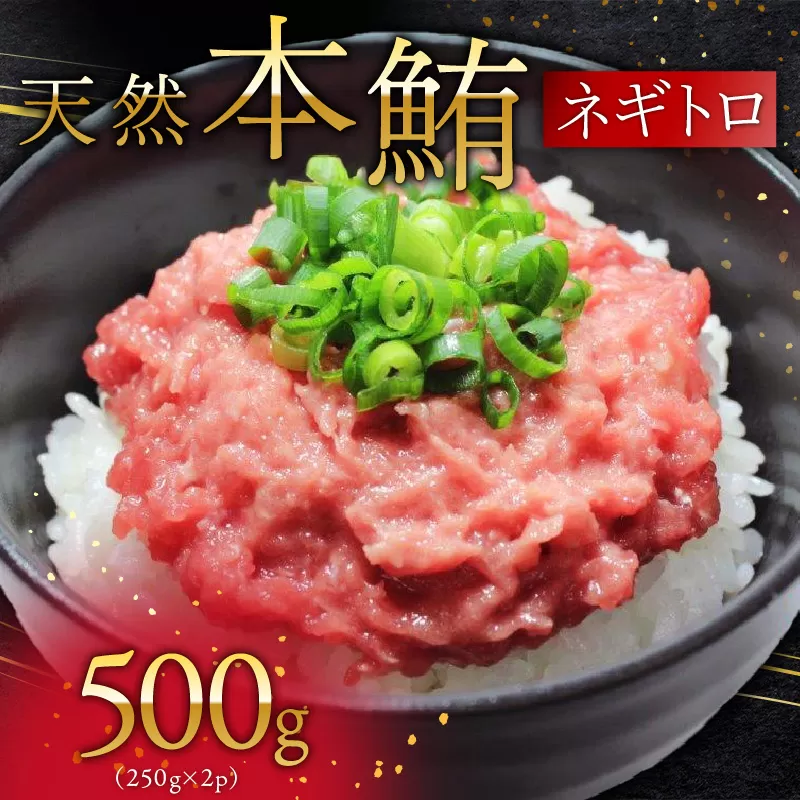 天然本鮪ネギトロ 250g×2パック