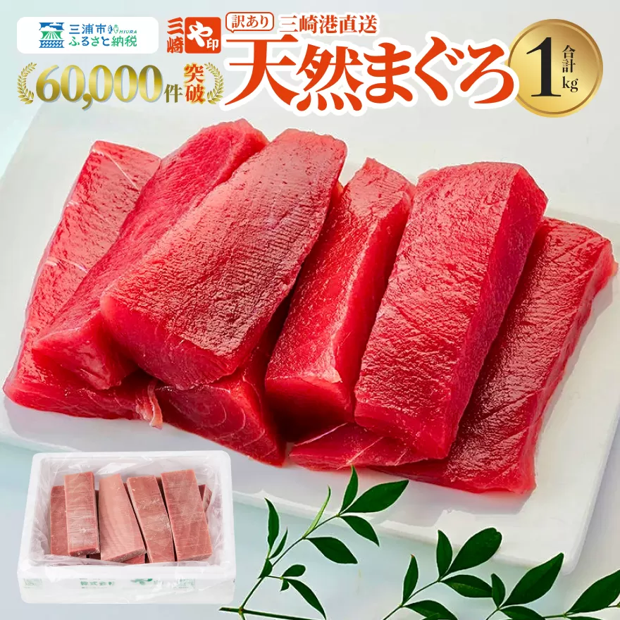 【訳あり】老舗三崎まぐろ問屋から直送！天然マグロ赤身1kg