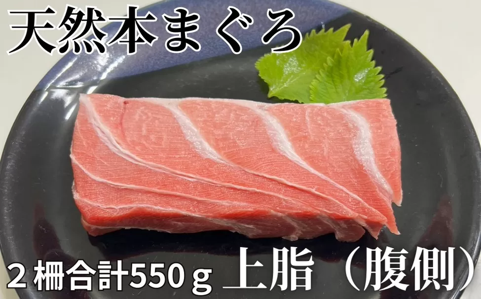 天然本鮪 上脂トロサク（2柵）