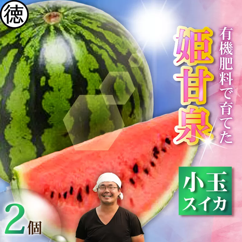 有機肥料で育てた小玉スイカ【姫甘泉】（2個入り）