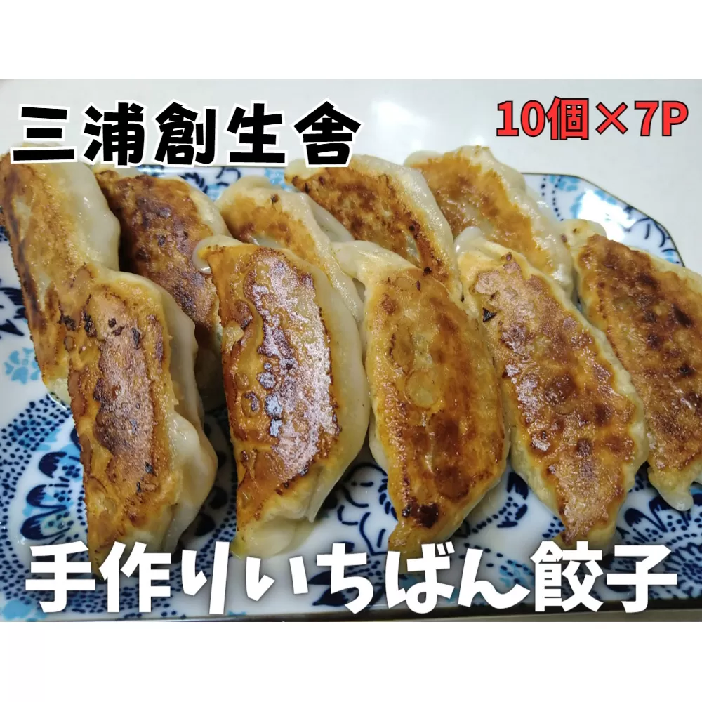 三浦創生舎のいちばん餃子（ハートフルさと納税）