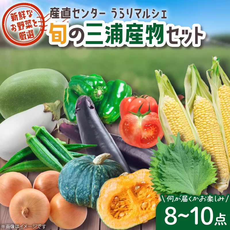 産直センターうらりマルシェ　 旬の三浦産物セット
