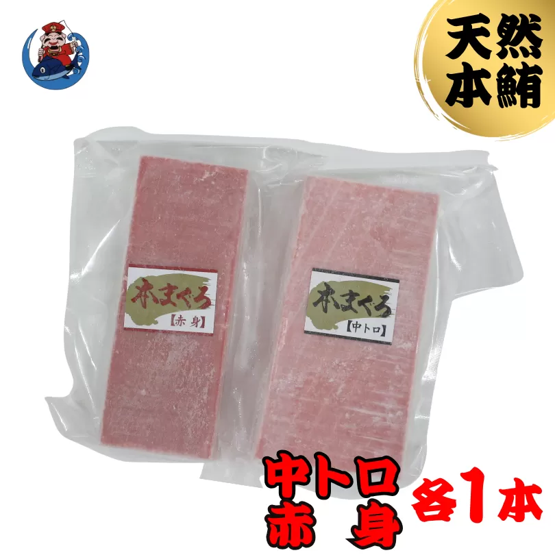 神奈川県漁連 天然本マグロ 中トロ・赤身セット