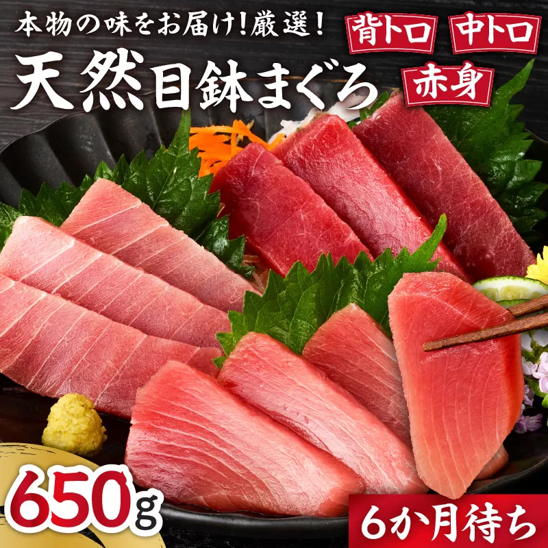 本物の味をお届け！厳選！天然三崎まぐろ＜希少部位＞背トロ＆中トロ・赤身