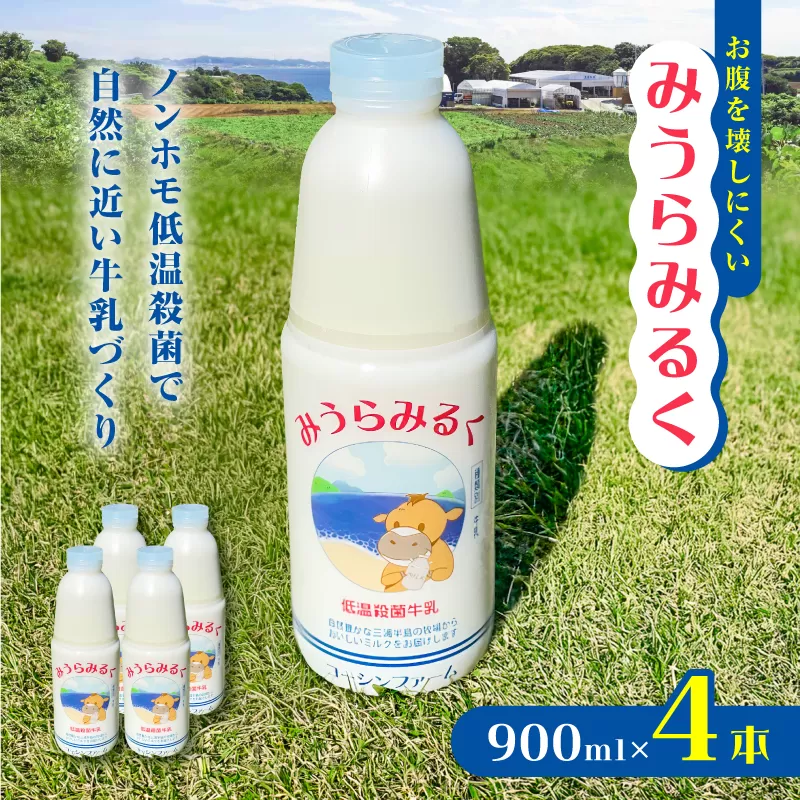 低温殺菌牛乳】みうらみるく900ml×4本｜三浦市｜神奈川県｜返礼品を