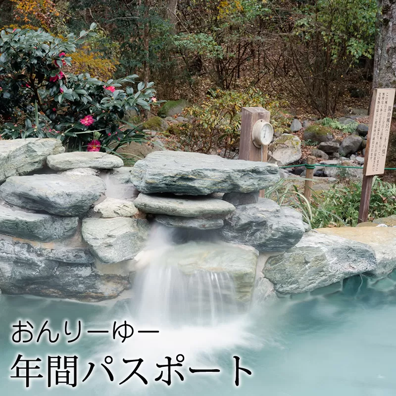 おんりーゆー 年間パスポート【温泉 サウナ お風呂 結婚記念日 敬老の日 ギフト プレゼント 利用券 神奈川県 南足柄市 】