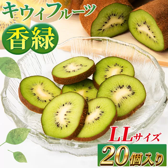 希少キウイフルーツ 「香緑」。LLサイズ 20個入り 糖度16度。甘くておいしい＜出荷時期：2025年12月15日出荷開始～2026年1月15日出荷終了＞【キウイ　フルーツ 神奈川県 南足柄市 】