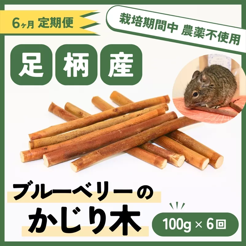 【定期便6ヵ月】足柄産ブルーベリーのかじり木100g×6回＜毎月お届け＞【 ペット 神奈川県 南足柄市 】