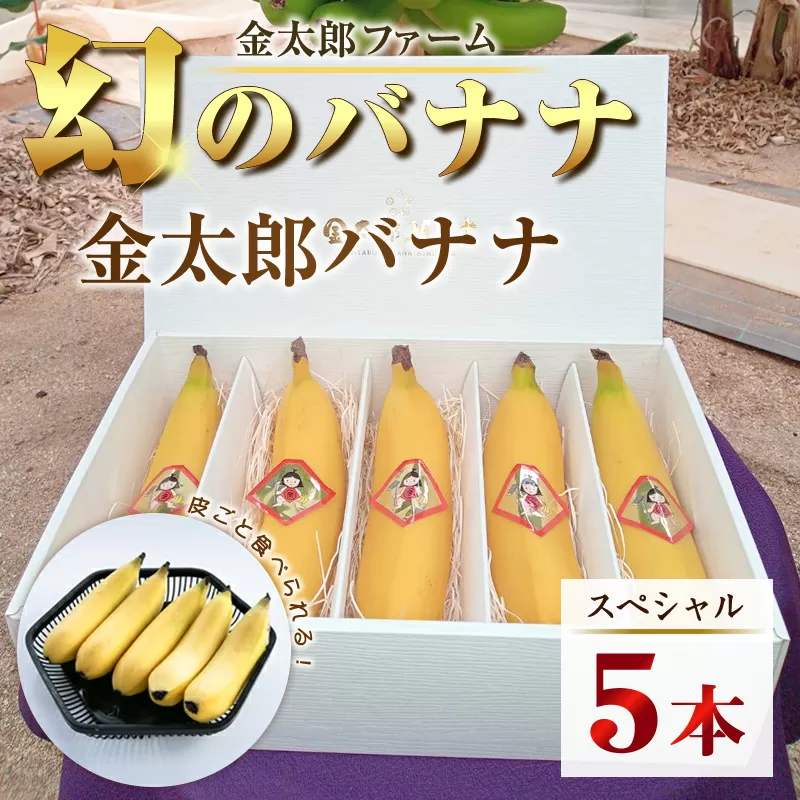 南足柄産国産バナナ スペシャル(栽培期間中農薬不使用)5本セット[フルーツ バナナ 神奈川県 南足柄市]