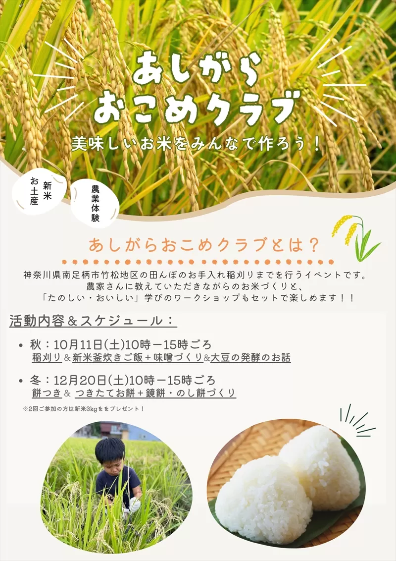 【体験日　10月11日・12月20日】　家族みんなで地域体験！あしがらおこめクラブ　秋のお米の収穫＆冬の餅つき・味噌づくり 体験チケット【 利用券 神奈川県 南足柄市 】