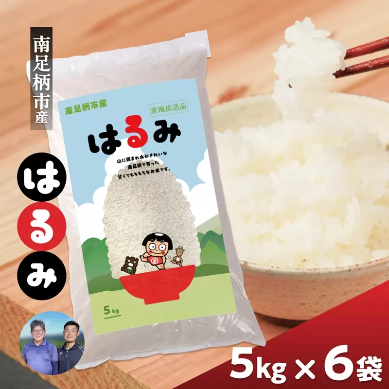令和7年 新米 南足柄産のブランド米「はるみ(精米)」 5kg×6袋 計30kg＜出荷時期：2025年10月末頃より順次出荷予定＞【 新米 新米予約 7年産 お米 神奈川県 南足柄市 】