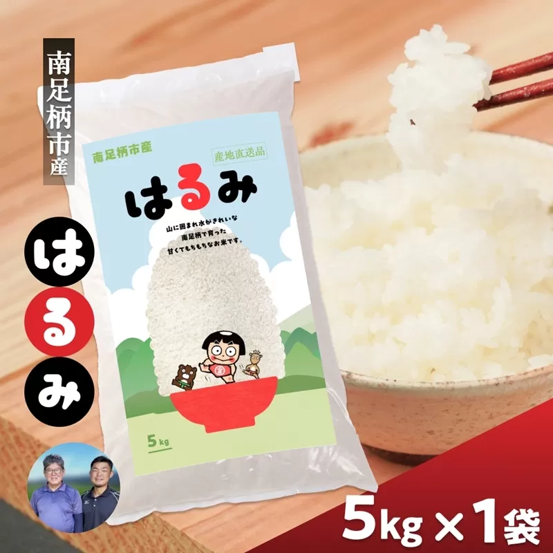 令和7年 新米 南足柄産のブランド米「はるみ(精米)」 5kg×1袋 ＜出荷時期：2025年10月末頃より順次出荷予定＞【 お米 神奈川県 南足柄市 】