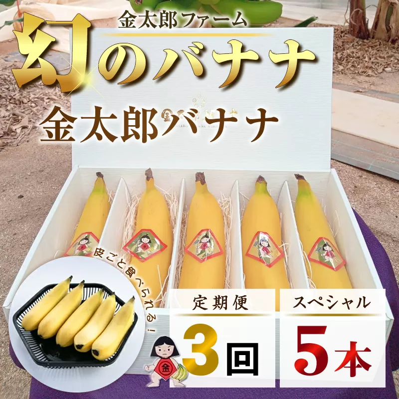 定期便：スペシャル 金太郎バナナ（15本）  5本×3回（毎月お届け） 栽培期間中農薬不使用 【国産 ギフト プレゼント 贈り物 お返し おいしい 金太郎バナナ 果物 くだもの フルーツ お歳暮 お中元 】