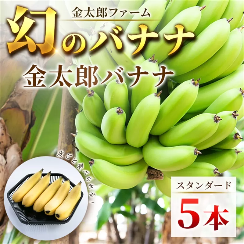 南足柄産国産バナナ スタンダード（栽培期間中農薬不使用）5本セット【フルーツ バナナ 神奈川県 南足柄市】