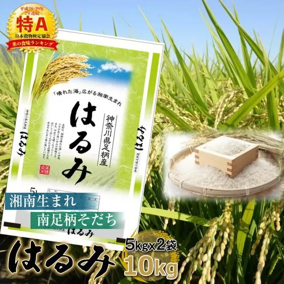 【令和7年産】湘南生まれ 南足柄育ちのお米「はるみ」(精米)10kg(5kg×2袋)【 ごはん おいしい 神奈川県 南足柄市 】