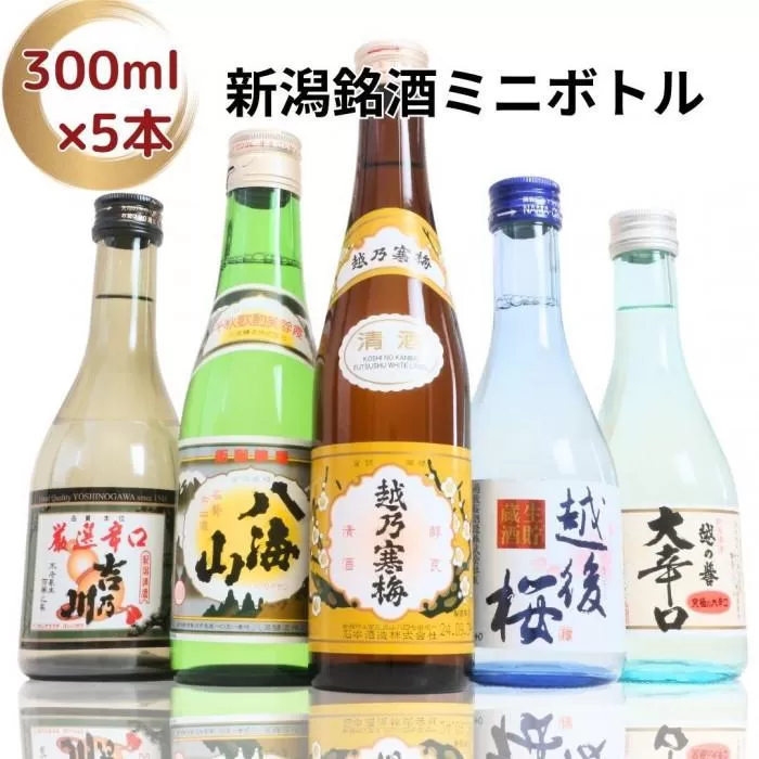 【ふるさと納税】日本酒 飲み比べセット 越後銘門酒会長岡の銘酒 飲み比べ 300ml×5本 （越乃寒梅 八海山 吉乃川 越の誉 越後桜） 新潟 セット 辛口 ギフト 正月 年越し