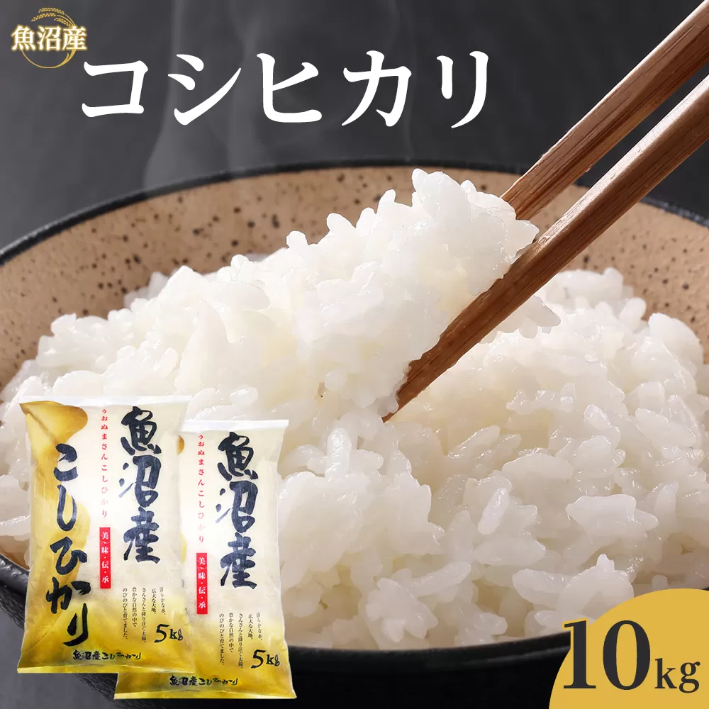 令和７年産魚沼産コシヒカリ　10kg　2025年10月～発送開始｜新潟県　魚沼　こしひかり　令和7年産