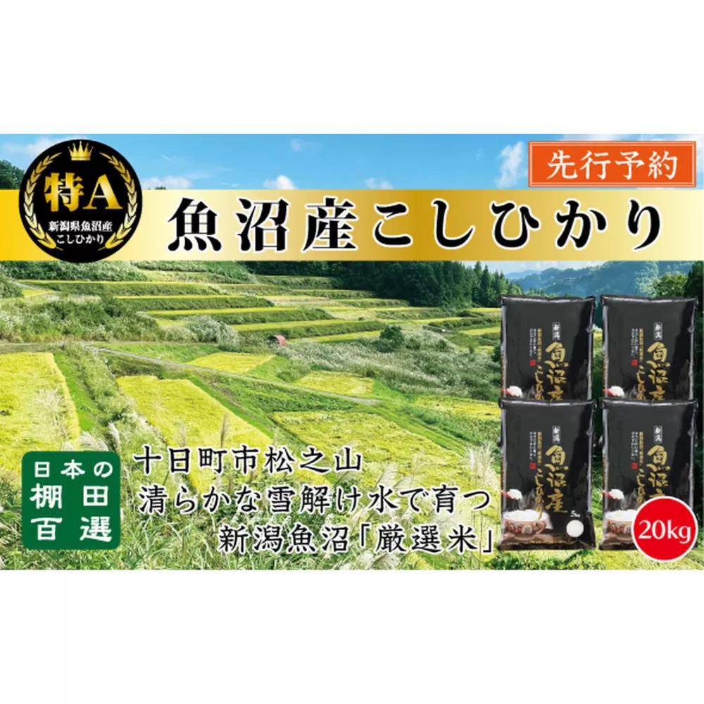 【令和７年産新米予約】【食味鑑定士厳選】　日本の棚田百選　新潟県十日町（魚沼）産　コシヒカリ20kg(5kg×4)