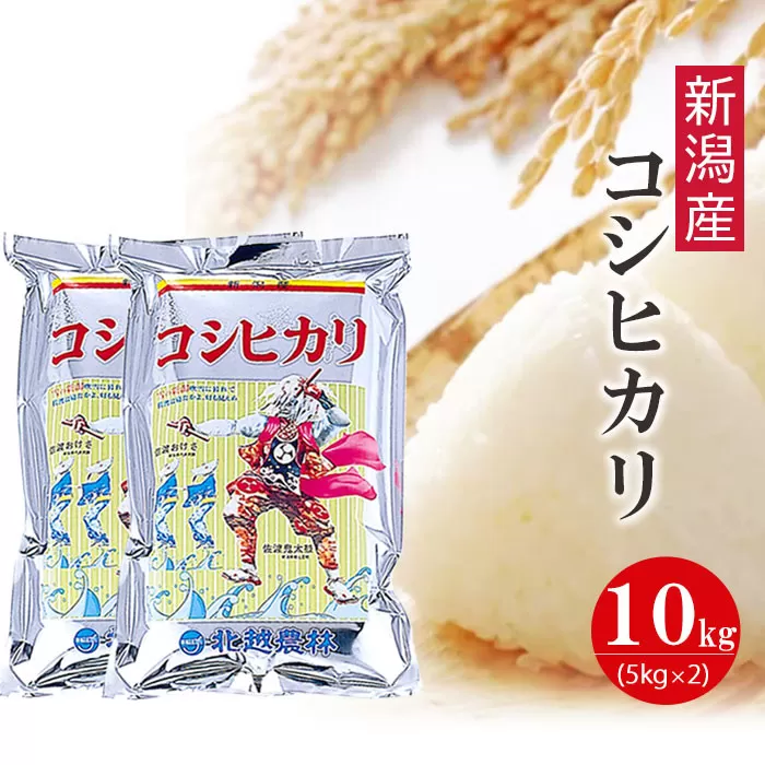 【令和7年産】新潟産コシヒカリ 10kg（5kg×2袋）白米 精米