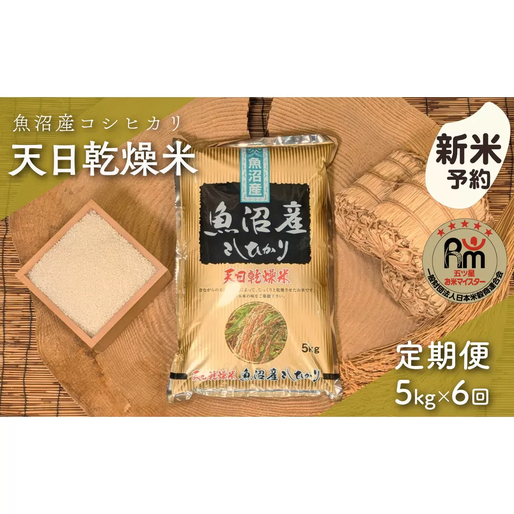 【新米予約】【毎月定期便】令和７年産「五つ星お米マイスター」厳選　天日干し魚沼産コシヒカリ　精米５kg×６回