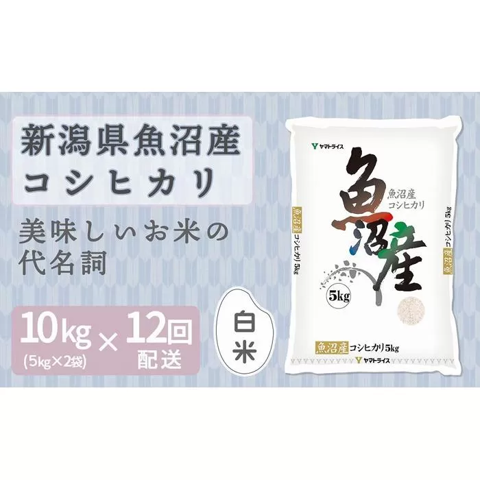 【定期便全12回】新潟県魚沼産コシヒカリ10kg(受注の翌月から毎月配送)|新潟県 新潟 魚沼 こしひかり 米 おこめ お米