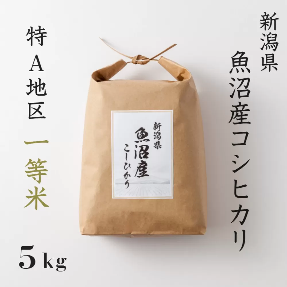 《 特A 一等米 》 令和7年産 魚沼産 コシヒカリ 5kg　慣行栽培　新潟　新潟県　こしひかり　魚沼　特A地区　5キロ