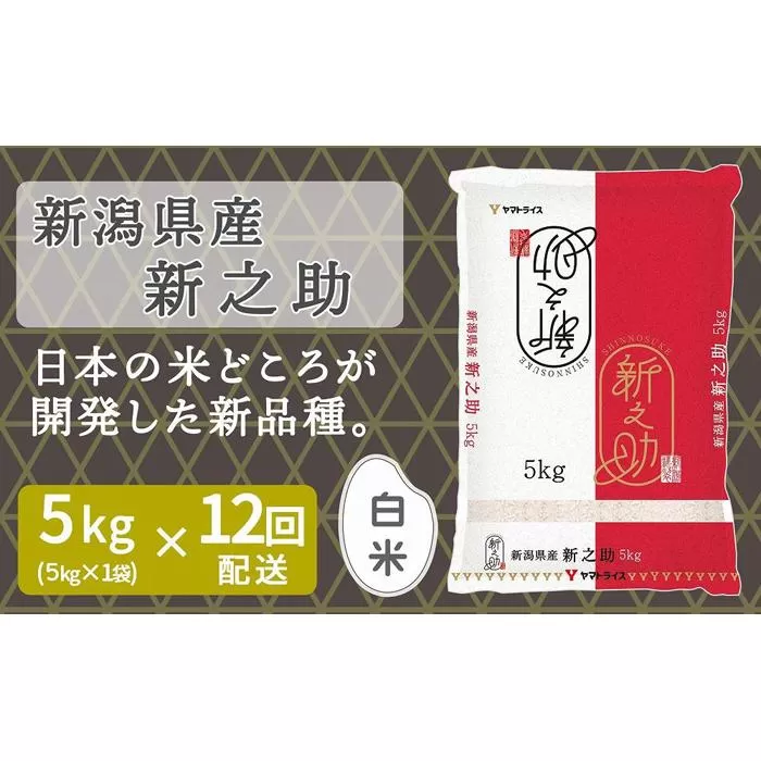 【定期便全12回】新潟県産新之助5kg(受注の翌月から毎月配送)|新潟県 新潟 米 おこめ お米