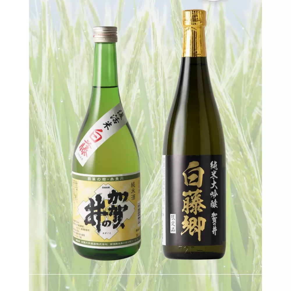 幻の米「白藤」で醸したお酒飲みくらべセット　720ml×2