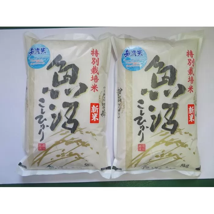 令和7年産先行予約　無洗米　魚沼産コシヒカリ特別栽培米　5kg×2