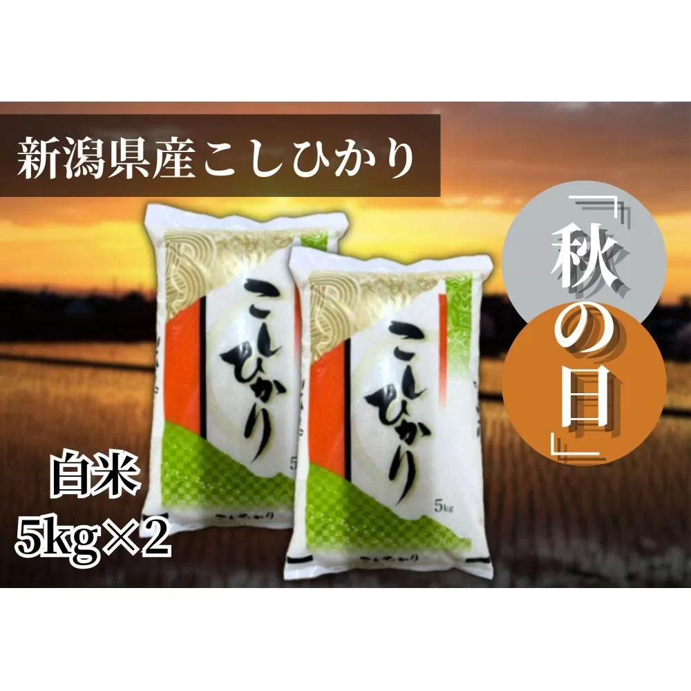 【令和7年産 】新潟県産こしひかり「秋の日」（白米10kg）【5kg×2袋】新潟県の美味しいお米。