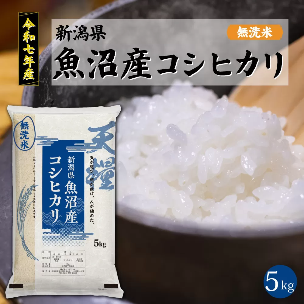 【定期便6回】令和7年産 新潟県 魚沼産 無洗米 コシヒカリ5kg 精米 一等米  天糧
