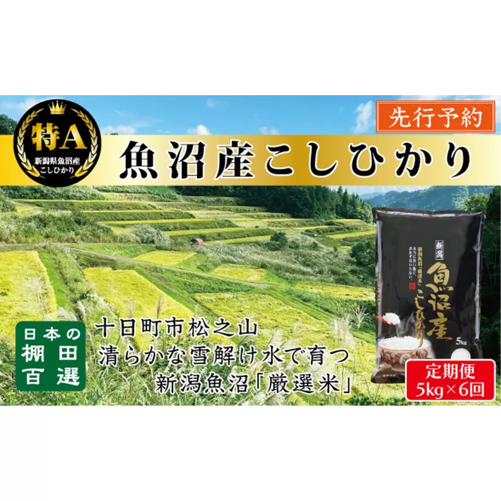 【令和７年産新米予約】【6か月定期便】10月発送開始《食味鑑定士厳選》日本棚田百選・十日町（魚沼）産こしひかり 5kg全6回