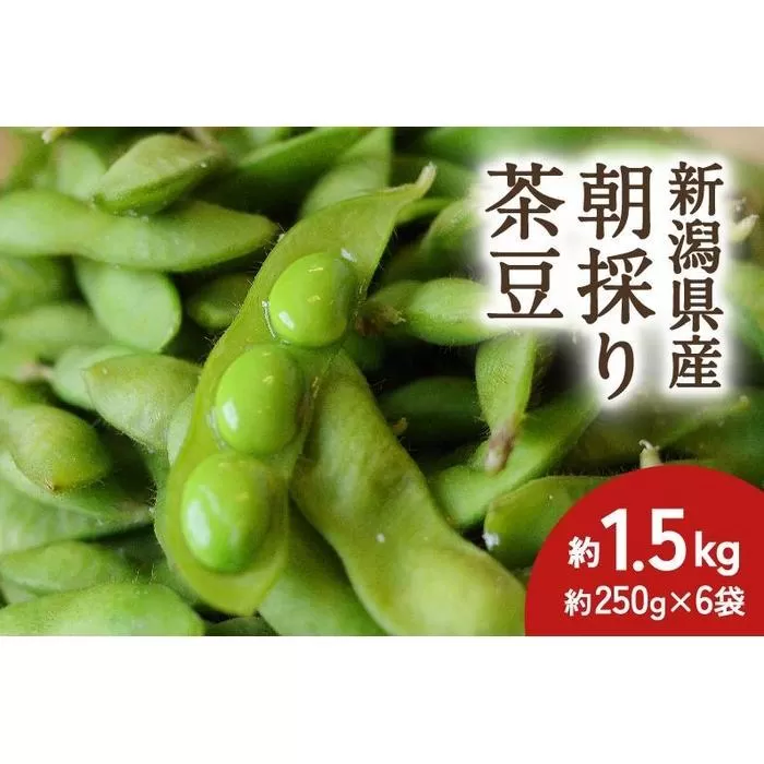 【2024年先行予約】新潟県産 朝採り 茶豆 約1.5kg《8月中旬～順次発送》