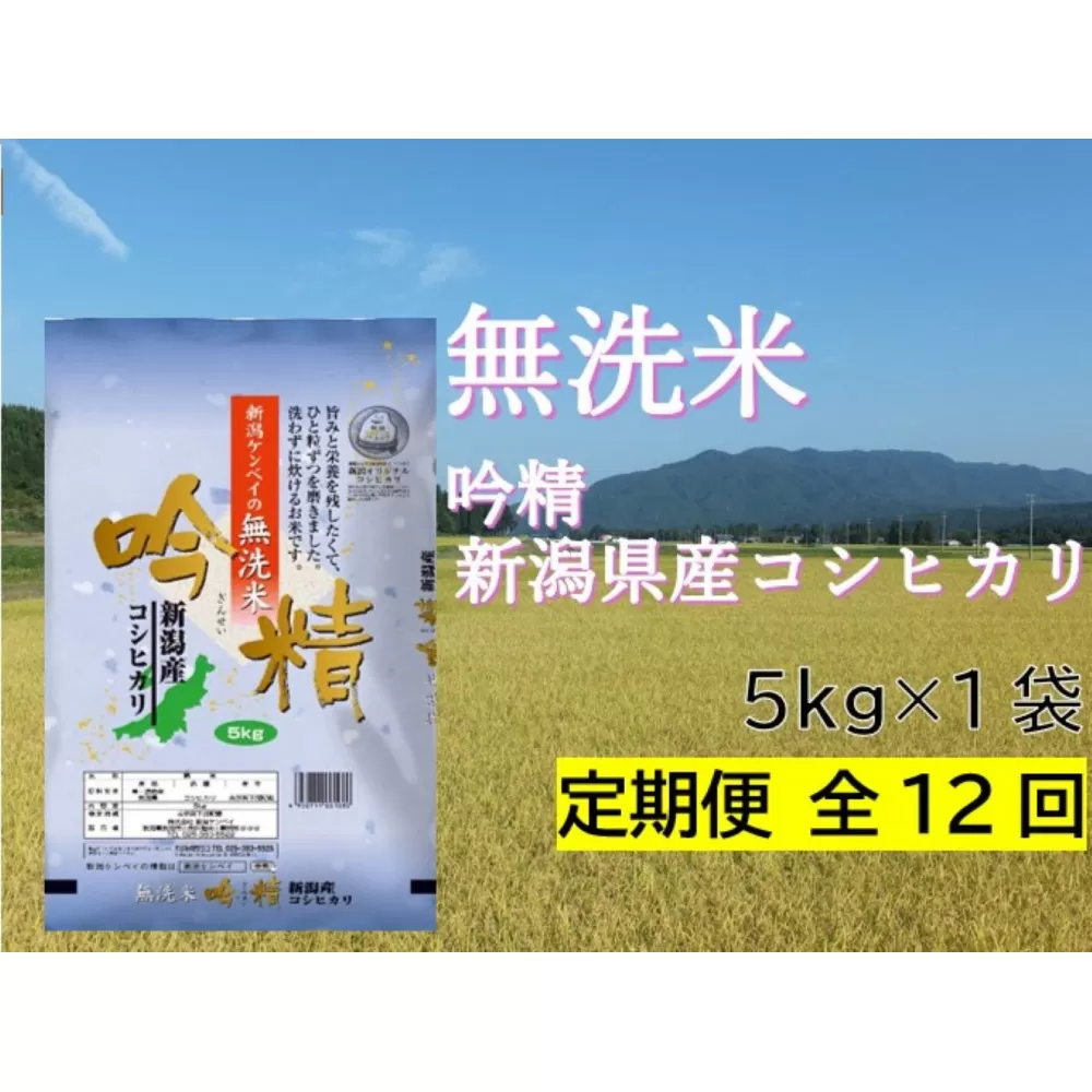 【定期便：全12回お届け】【無洗米吟精】　新潟県産コシヒカリ5kg