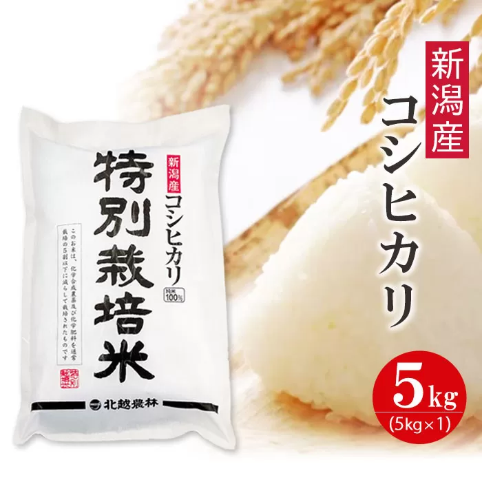 特別栽培米 新潟産コシヒカリ 5kg 令和7年産 精米 白米