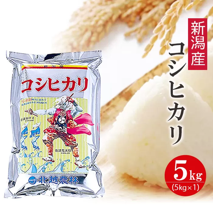 【令和7年産】新潟産コシヒカリ 5kg 精米 白米
