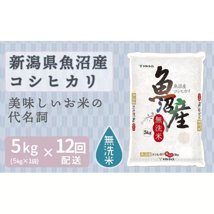 【定期便全12回】無洗米新潟県魚沼産コシヒカリ5kg（受注の翌月から毎月配送）｜新潟県　新潟　魚沼　無洗米　こしひかり　米　おこめ　お米