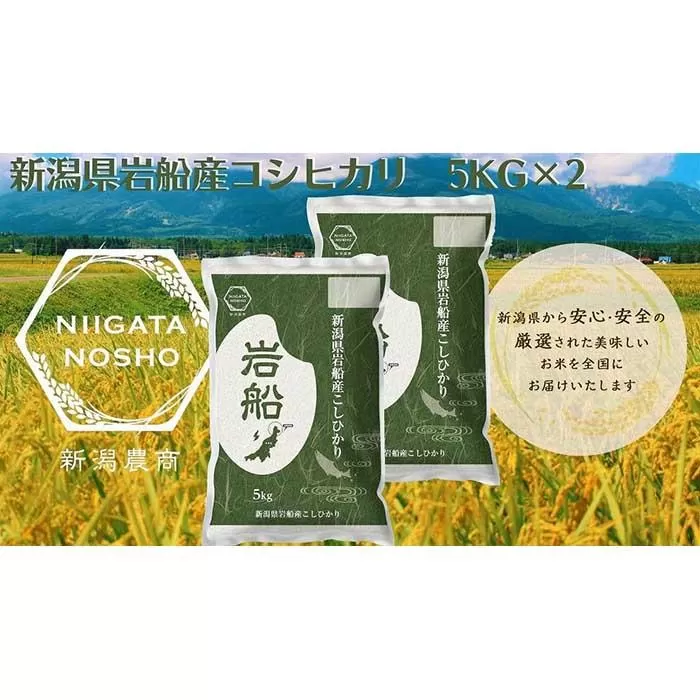 新潟県岩船産コシヒカリ　5kg×2