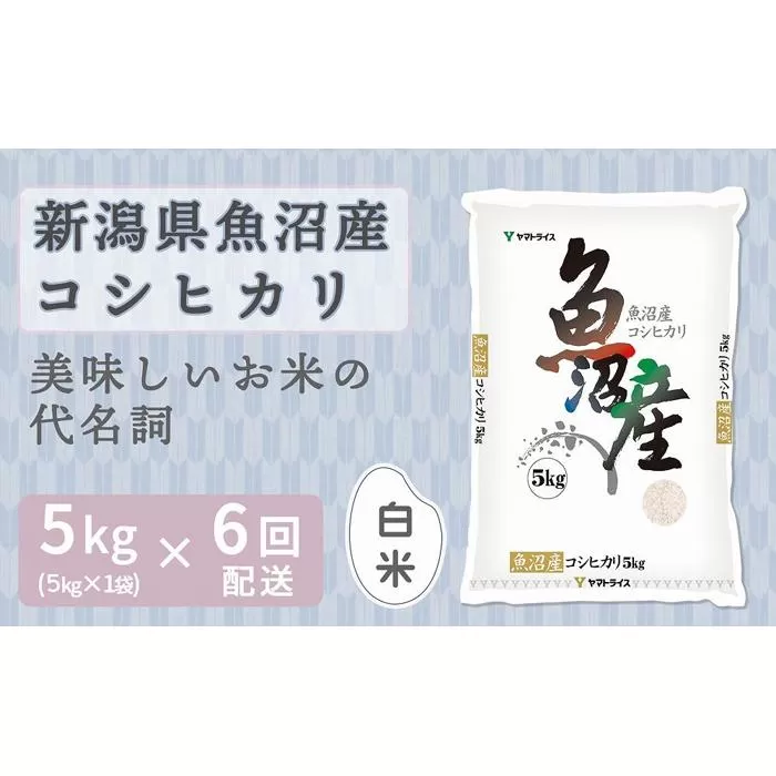 【定期便全6回】新潟県魚沼産コシヒカリ5kg(受注の翌月から毎月配送)|新潟県 新潟 魚沼 こしひかり 米 おこめ お米
