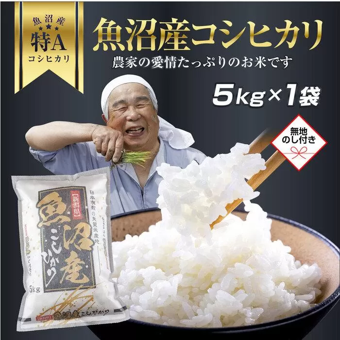 DH17 「無地熨斗」 新潟県 魚沼産 コシヒカリ お米 5kg こしひかり  精米 米（お米の美味しい炊き方ガイド付き）