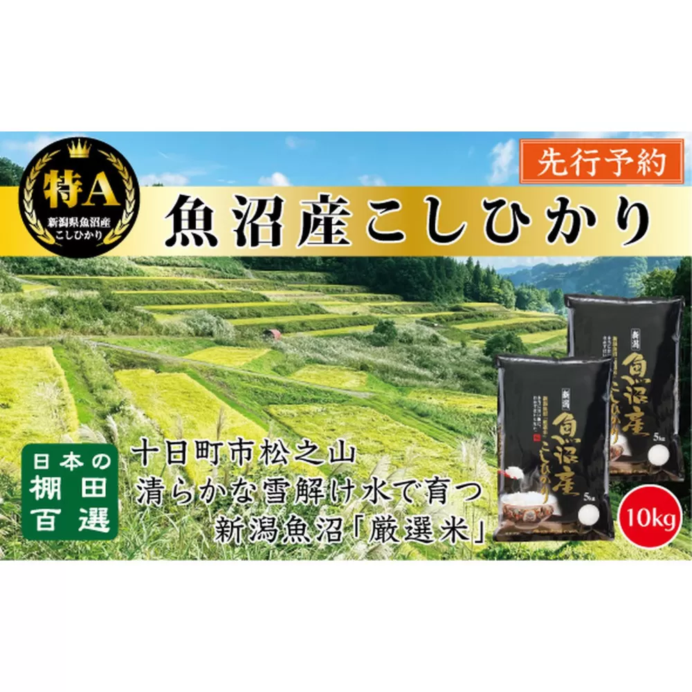 【令和７年産新米予約】【食味鑑定士厳選】　日本の棚田百選　新潟県十日町（魚沼）産　コシヒカリ10kg(5kg×2)