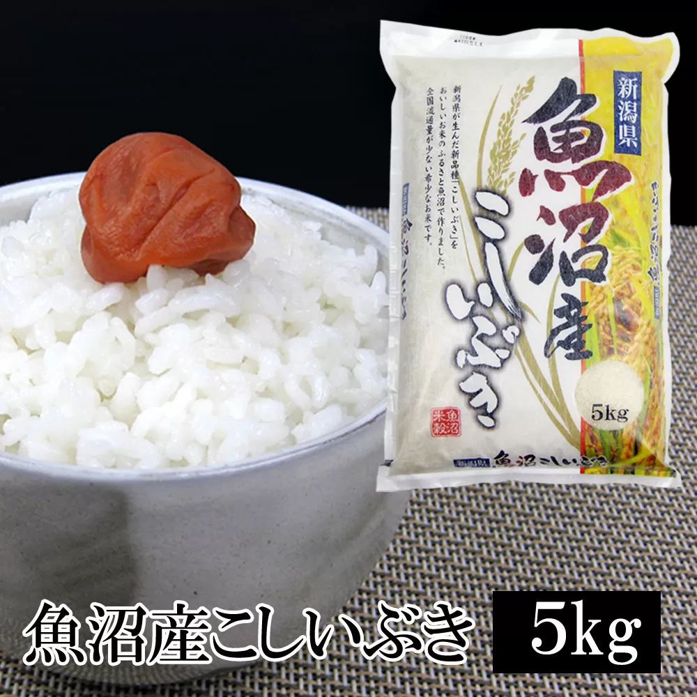 お米マイスター厳選！7年産魚沼産こしいぶき　５kg