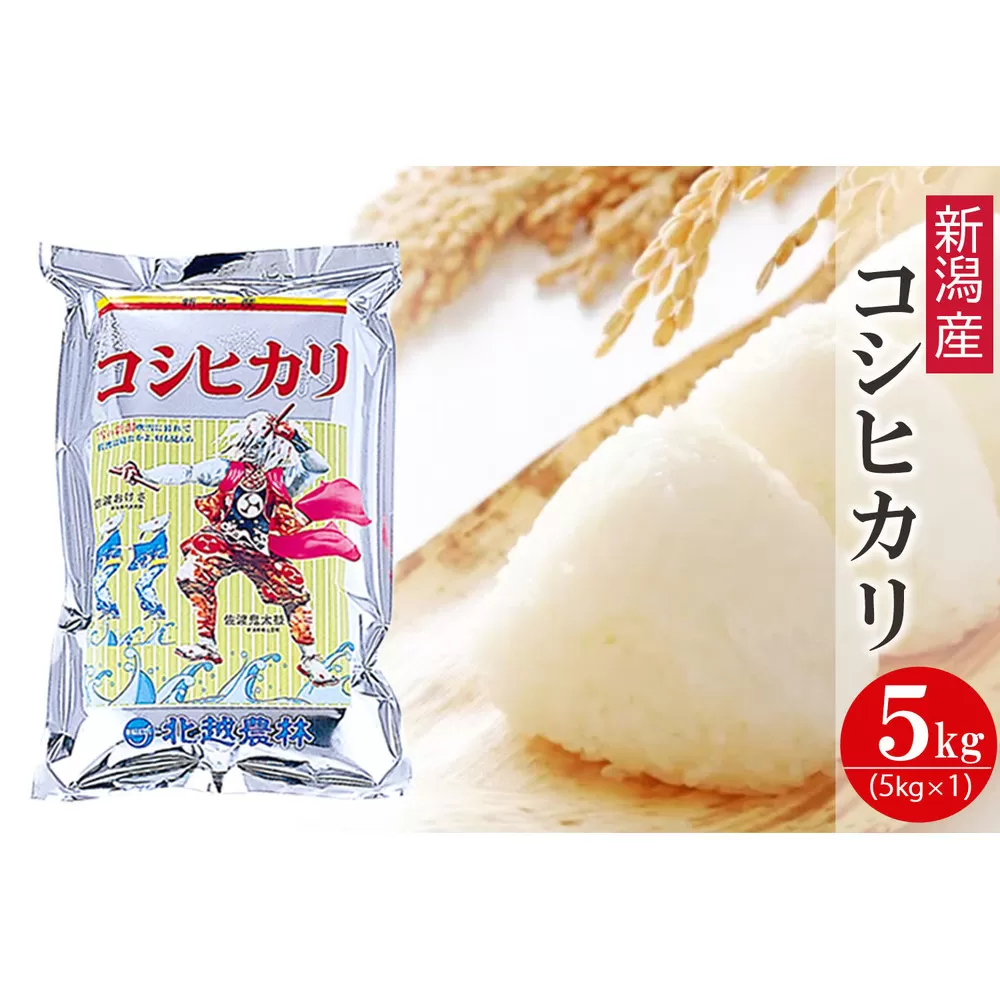 〈令和7年産 新米〉新潟産コシヒカリ 5kg 精米 白米