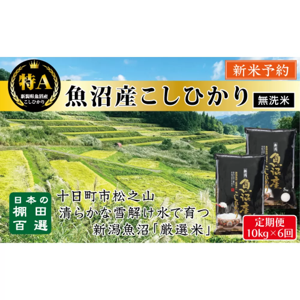 【無洗米】【令和７年産新米予約】【6か月定期便】10月発送開始《食味鑑定士厳選》日本棚田百選・十日町（魚沼）産こしひかり 10kg全6回