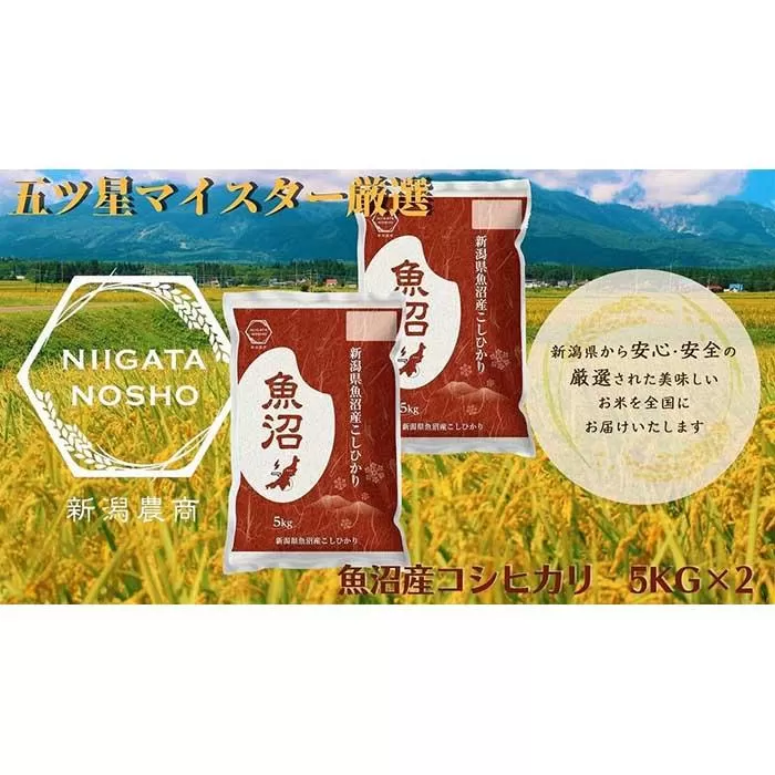 【令和7年産】五ッ星マイスター厳選　魚沼産コシヒカリ　5kg×2