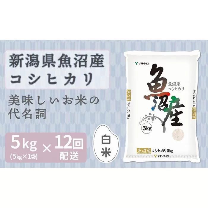 【定期便全12回】新潟県魚沼産コシヒカリ5kg(受注の翌月から毎月配送)|新潟県 新潟 魚沼 こしひかり 米 おこめ お米