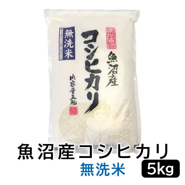 【令和7年産無洗米】お米マイスター厳選！魚沼産コシヒカリ　5kg